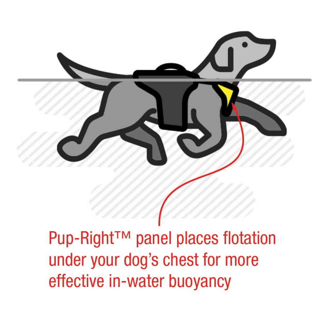 Illustration of a dog in water wearing a Stohlquist Pup-Right flotation safety jacket for buoyancy.